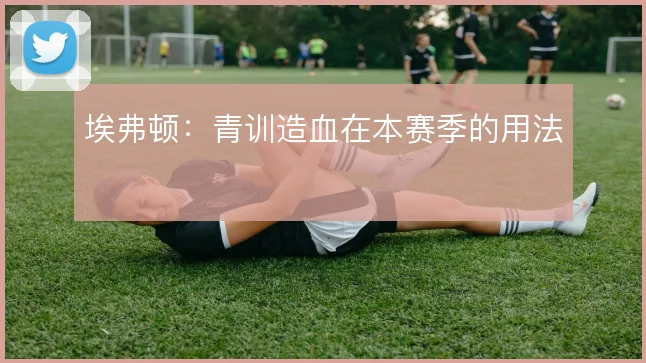 埃弗顿：青训造血在本赛季的用法